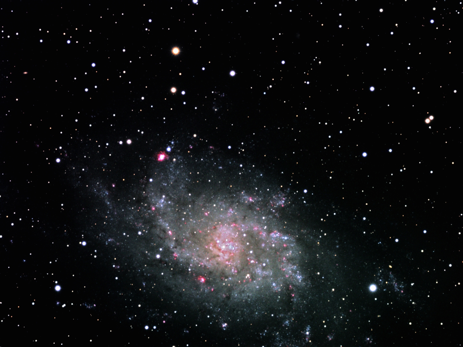 M33
