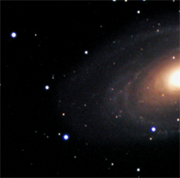 M81